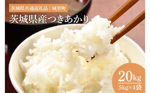 数量限定】【令和7年産】茨城県産つきあかり（茨城県共通返礼品/城里町 