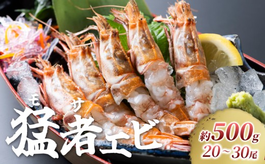 幻のえび モサエビ 500g｜鳥取 岩美 海老 エビ えび 幻のえび 【23006