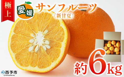 愛媛県西予市産 サンフルーツ（新甘夏）極上 約6kg＞ 極上品 サン
