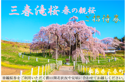 なんと‼️今だけ特別価格【期間限定商品　貴重品】日本三代桜 三春滝桜 福島県 三春滝桜 春の観桜ご招待券（滝桜観桜券） 【07521-0172】 - 福島県三