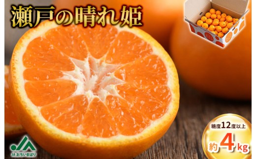 先行予約】瀬戸の晴れ姫 4kg [KC01230] 2026年12月中旬～2027年1月中旬