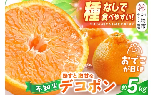 2027年1月中旬より発送開始】不知火(デコポン) 約5kg【みかん 柑橘