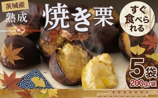 栗の古木 栗の古木群｜観光・体験 | 前橋の観光・旅行情報サイト 「前橋まるごと
