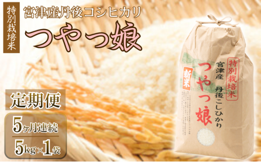定期便・全5回】令和7年産 特別栽培米「つやっ娘」 5kg×全5回 宮津産