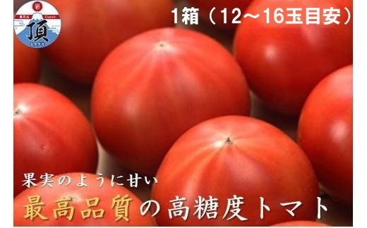 高糖度トマト「アメーラ」1箱 - 静岡県｜ふるさとチョイス - ふるさと