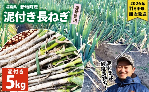 泥付き長ネギ 約5kg 1箱 | 訳あり 野菜 やさい 食品 人気 おすすめ