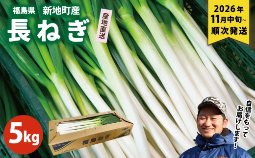 ねぎ 長ネギ 約5kg 1箱 | 訳あり 野菜 やさい 食品 人気 おすすめ 送料無料