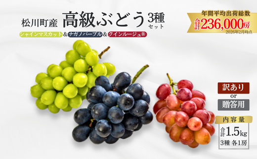 TK05 ぶどう3種セット プレミアムスリー（クイーンルージュ