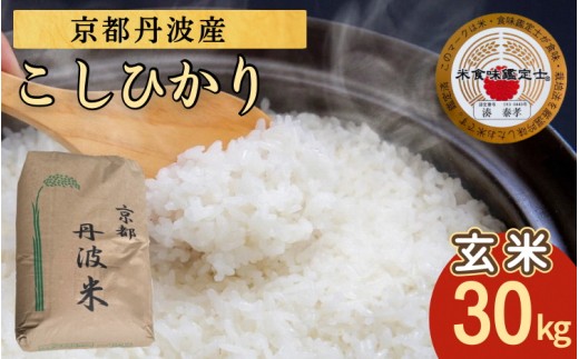 訳あり】令和7年産 玄米 30kg 京都丹波米 こしひかり《 米 単一原料米 