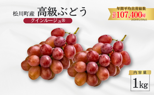 【家庭用】クイーンルージュ2kg【長野県産】 TK08 ぶどう クイーンルージュ® 約2kg／2026年9月下旬から10月中 配送