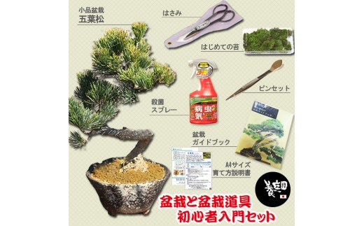 39-10】 養庄園 盆栽と盆栽道具 初心者入門セット - 大阪府池田市