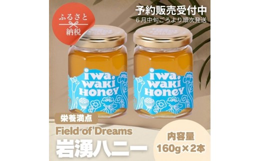 百花蜜 1000g 2本 長野県産 国産蜂蜜 生はちみつ セイヨウミツバチ a 国産】蜂蜜 はちみつ 百花蜜 日本ミツバチ 150g×2本 計300g 国産 大上