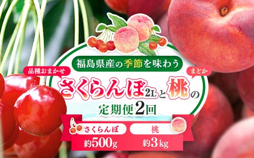 2026年出荷分】福島県伊達市産 〈定期便2回〉 さくらんぼ 約500g ＆ 桃