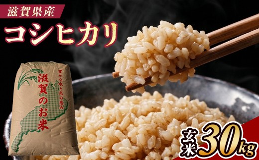 令和7年産　近江米　コシヒカリ　玄米20kg(精米費無料) 令和7年産 近江米 コシヒカリ 玄米20kg(精米費無料)｜Yahoo!フリマ（旧