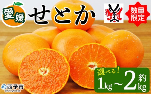 みかん　確認用　PSVITA お歳暮 ギフト】愛媛県 JAにしうわ 川上共選 最高等級みかん「味ピカ