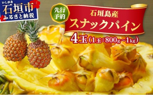 沖縄県石垣島産スナックパイン苗 先行予約> スナックパイン 4玉 <2026年4月発送> | 沖縄県 石垣市 石垣