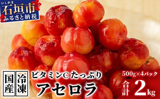 ZH-21 沖縄 石垣島産 《ご家庭用》アセロラ2㎏（冷凍） - 沖縄県石垣市