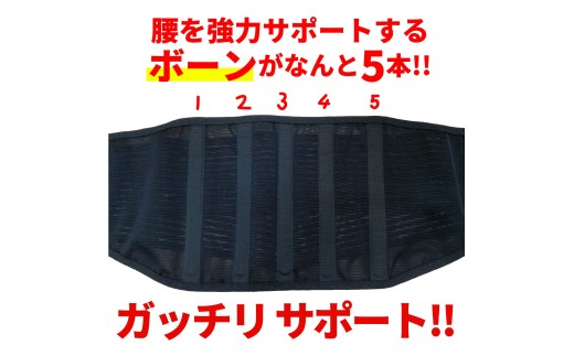 腰補助サポーターLサイズ 株式会社シーエス 山口県 防府市 B-D21 腰痛