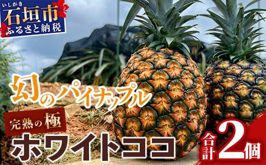 パイナップル　苗木　４年物（来年実が取れます）　 鉢植えでパイナップル栽培成功！葉から育てて4年で実ができる秘訣とは？