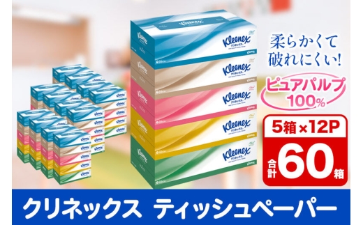 ティッシュ クリネックス ティシュー 5箱×12パック 日用品 [ティッシュ