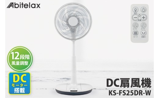 数量限定】「寄附額改定しました!!」ケーズデンキオリジナルモデル DC