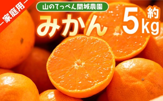 みかん 5kg 家庭用 訳あり 温州山のてっぺん間城農園のみかん