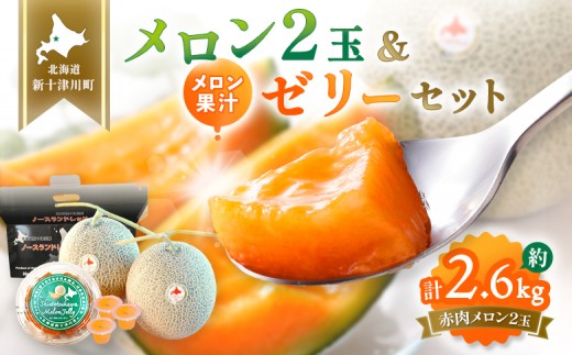数量限定】 赤肉メロン2玉・ミニメロンゼリーセット【令和8年7月～8