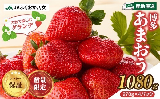 先行受付：2027年2月発送開始】博多あまおうG270g×4パック｜JA