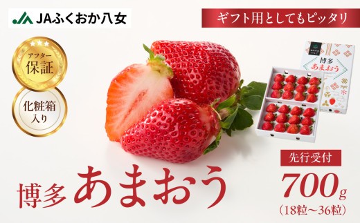 2026年12月発送開始】博多あまおう700g（化粧箱）｜JAふくおか八女