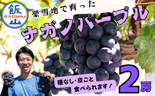 先行予約】 ナガノパープル 2房 （約1kg） 《 2026年10月〜発送