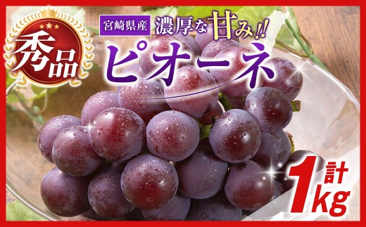 令和9年発送 先行予約】小林市産 ピオーネ 1kg（ぶどう ブドウ