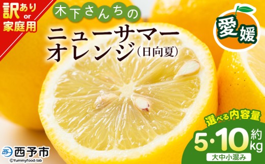 木下さんちのニューサマーオレンジ 訳あり 約5kg/10kg（大中小サイズ
