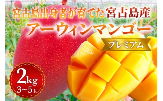 プレミアム】宮古島産マンゴー2kg ＜リトルグローブ＞（LT006） - 沖縄