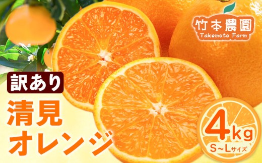 Orangeさまご確認用！ 中古・古着通販】Palm Angels (パーム エンジェルス) CHECK ZIPPED 食器