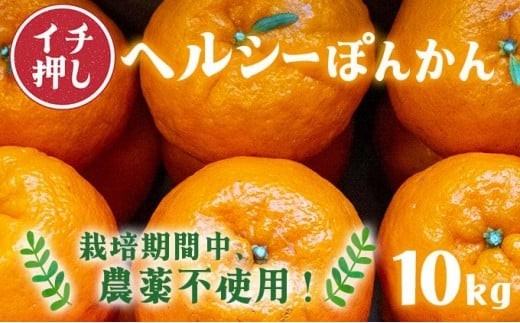 先行予約】 F139 ヘルシーぽんかん10kg ポンカン ぽんかん 国産 東洋町