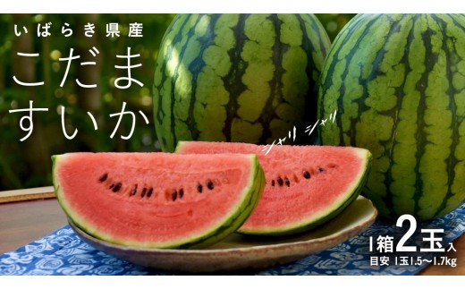 こだますいか 2玉 小玉すいか こだますいか 小玉 スイカ 西瓜 果物