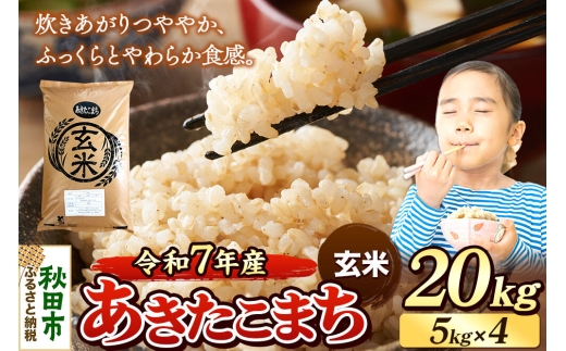 令和7年産》 米 あきたこまち 20kg（5kg×4袋） 【玄米】 秋田県産 [米