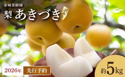 訳あり／2026年先行予約】金城果樹園 梨「あきづき」約5kg（8～14玉入