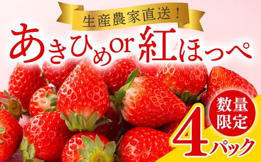 岡戸農園 いちご（4パック）＊「あきひめ」あるいは「紅ほっぺ」数量