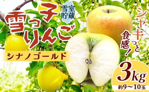 数量限定】雪っ子 りんご 熟成 シナノゴールド 3kg 数量限定 リンゴ