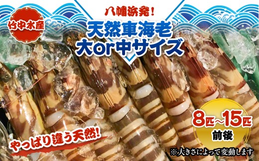 �ԗ�i�摜