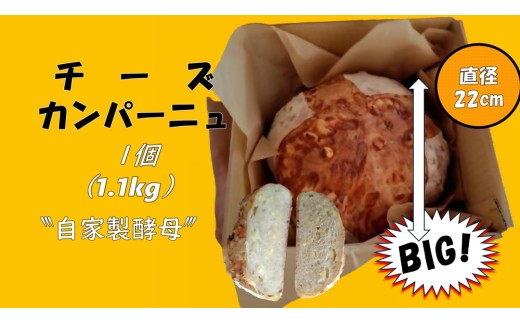 �ԗ�i�摜