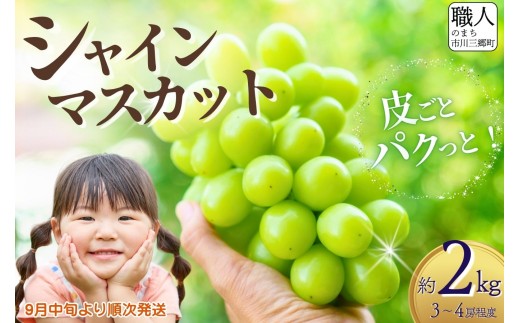 ☆クール便発送☆ シャインマスカット 【2026年発送 】山梨 約 2㎏ (3