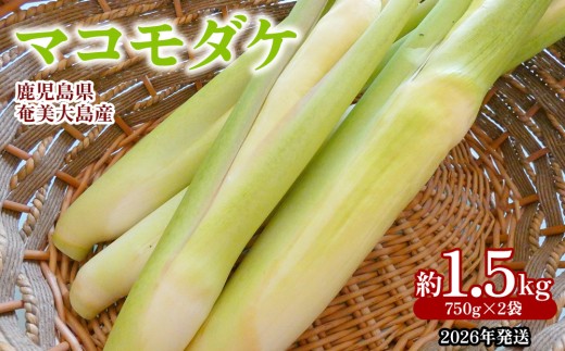 マコモダケ　8kg 千葉県産 2026年発送】奄美大島産 マコモダケ 約1.5kg（750g×2袋） 鹿児島県