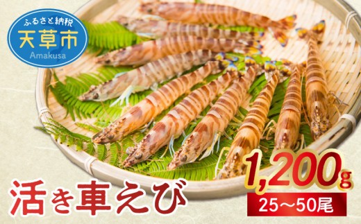�ԗ�i�摜