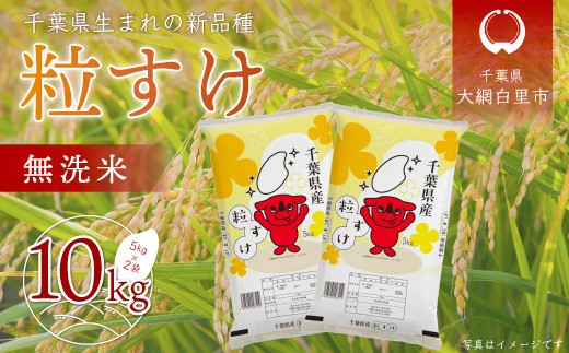令和7年産 千葉県産「粒すけ」10kg無洗米（5kg×2袋） お米 無洗米 10kg