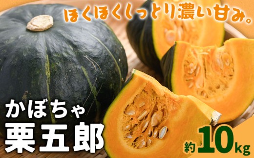sd1_c8d3e71dc70c6fd7652f8dafe9