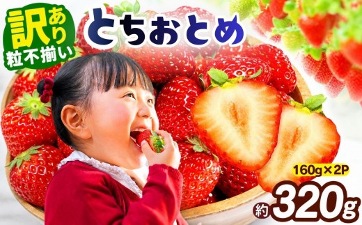 �ԗ�i�摜