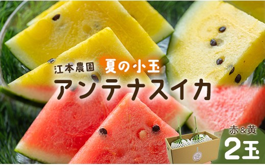 �ԗ�i�摜