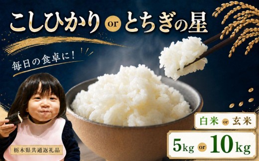令和6年度 栃木県産 コシヒカリ 玄米 10キロ 県北 日光 ③ 【公式通販】